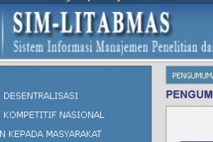 SIM-LITABMAS